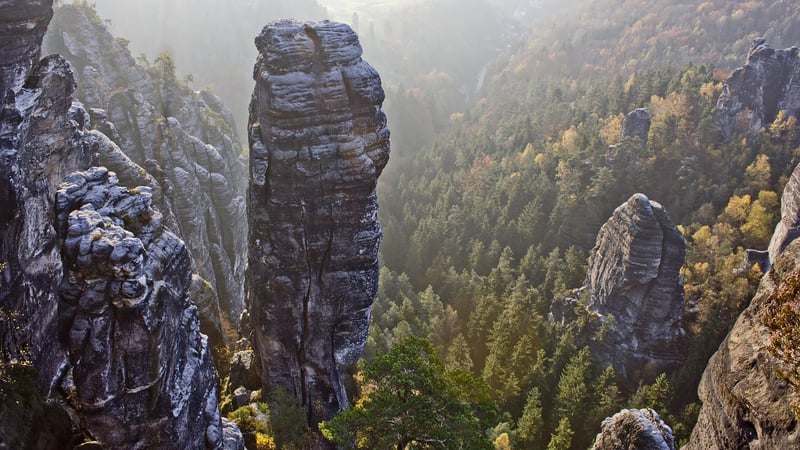 Climbing Shoes